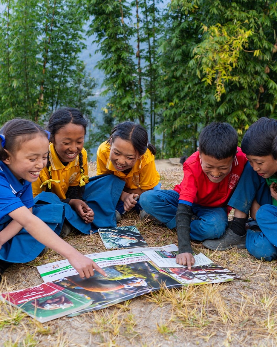 Red Panda Conservation Textbooks