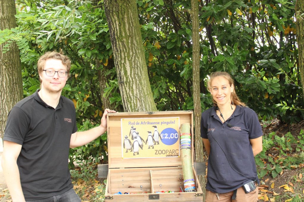 Zookeepers selling bracelets in support of Stichting Wildlife Foundation