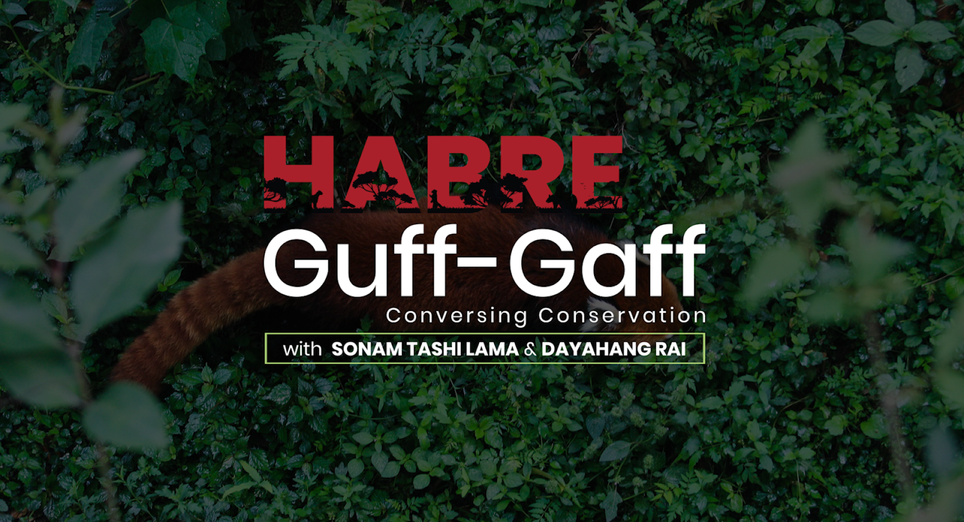 Habre Guff-Gaff: Conversing Red Panda Conservation