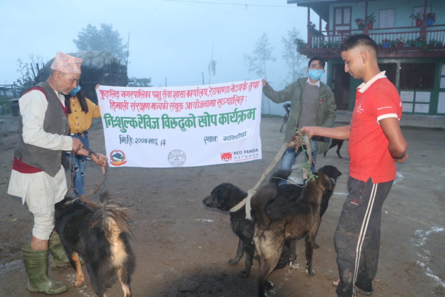 Free Rabies Vaccinations in Nepal