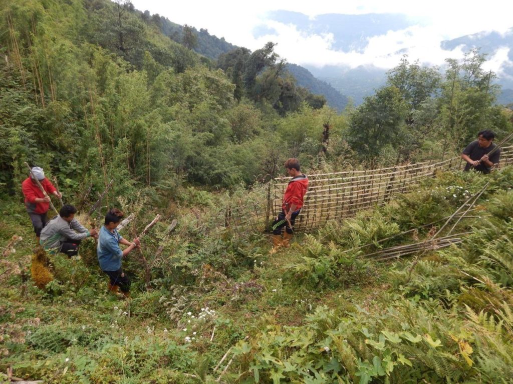 Fence installation at restoration site in Eastern Nepal