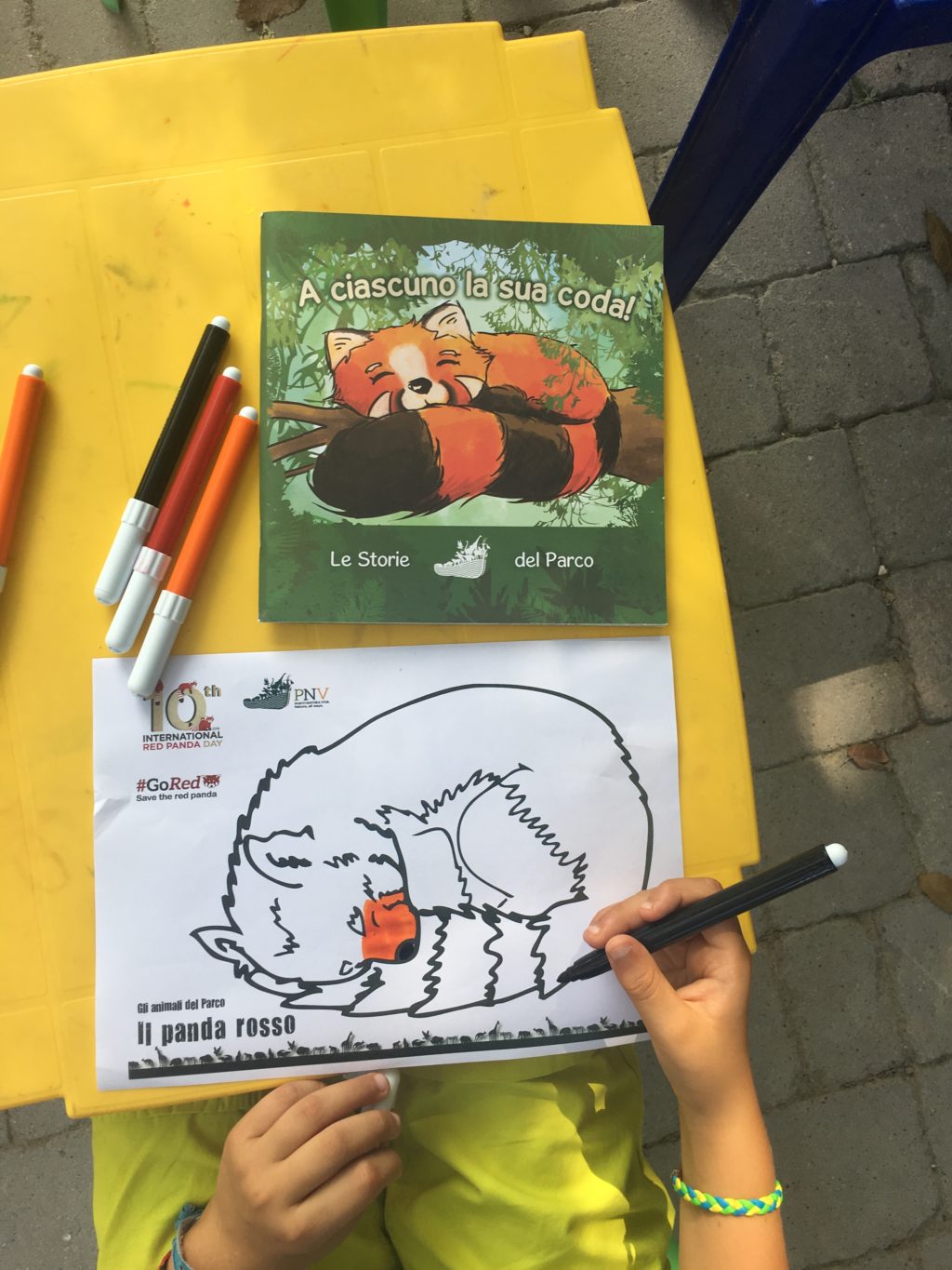 IRPD coloring activiting for kids