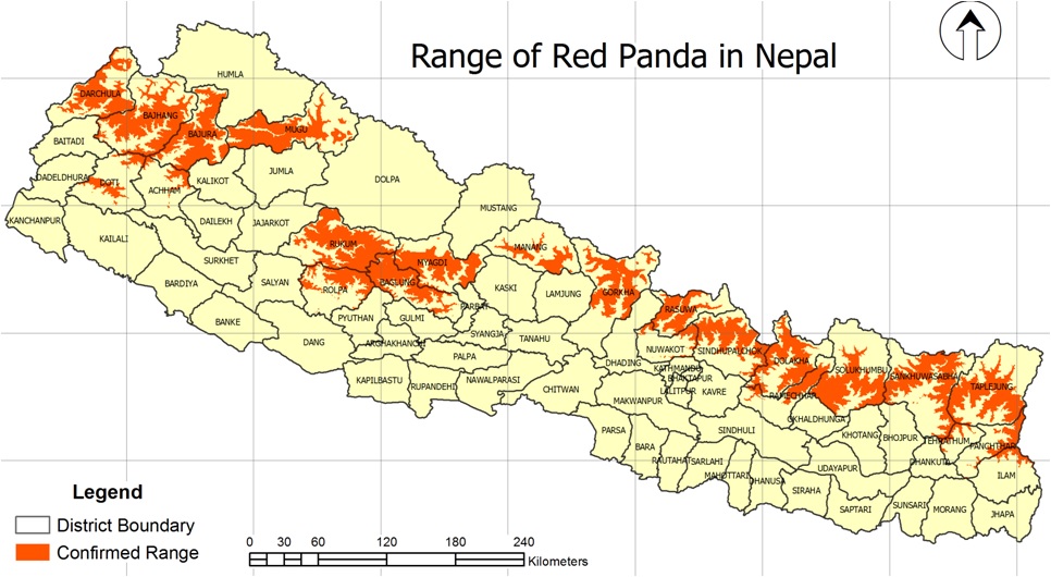 Red-Panda-Range_Nepal.jpeg