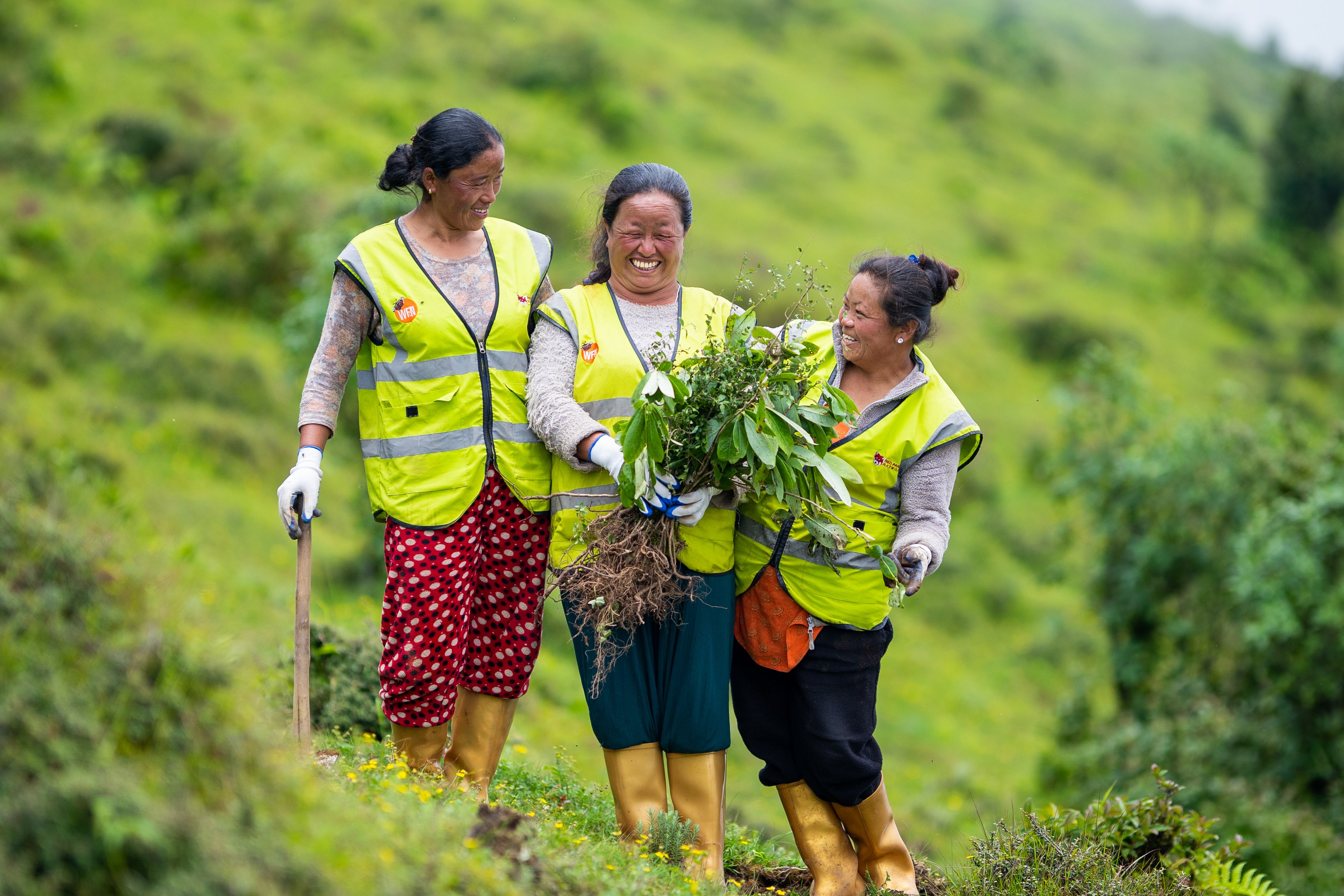 Restoration-Guardians_Tree-Saplings_Jaubari-Nepal.jpg