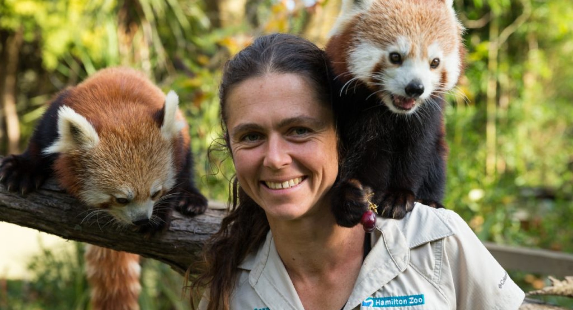 Red Panda Keeper Forges New Future for Species