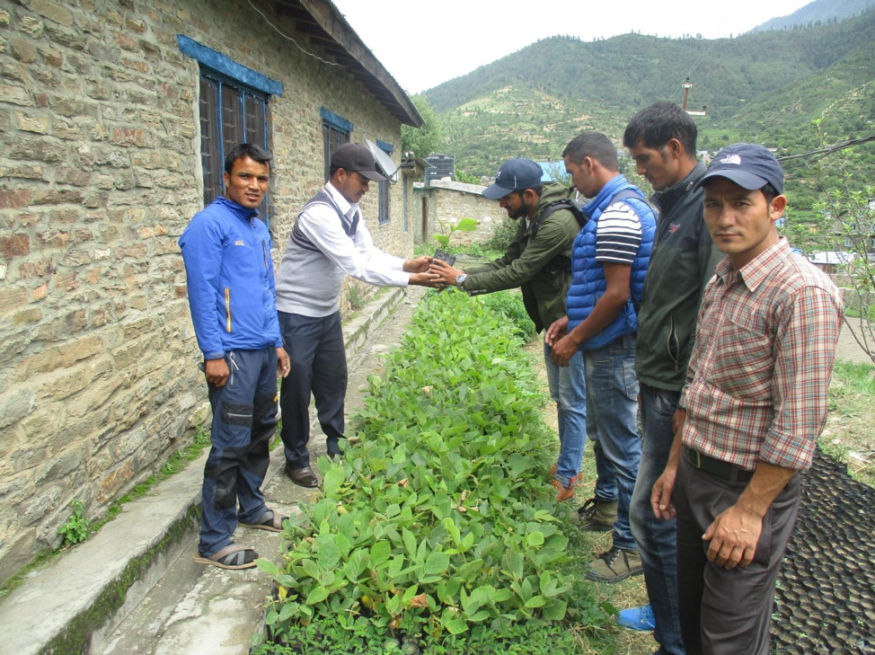 Seedling Distribution Western Nepal