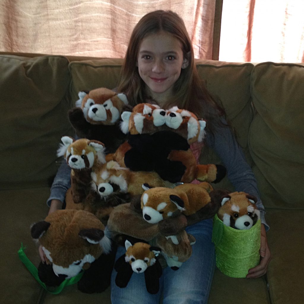 Skye with a lot of furry Red Panda
