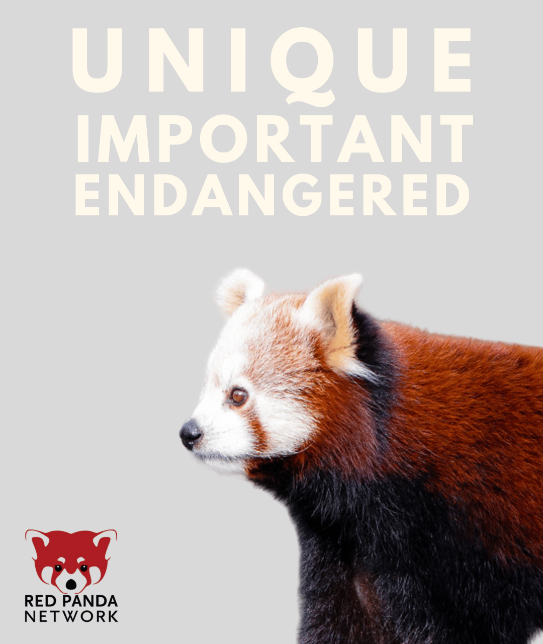 Unique Important Endangered Poster
