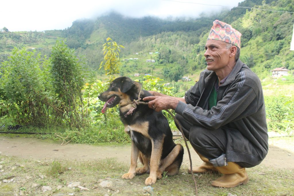 Community member and free-roaming dog