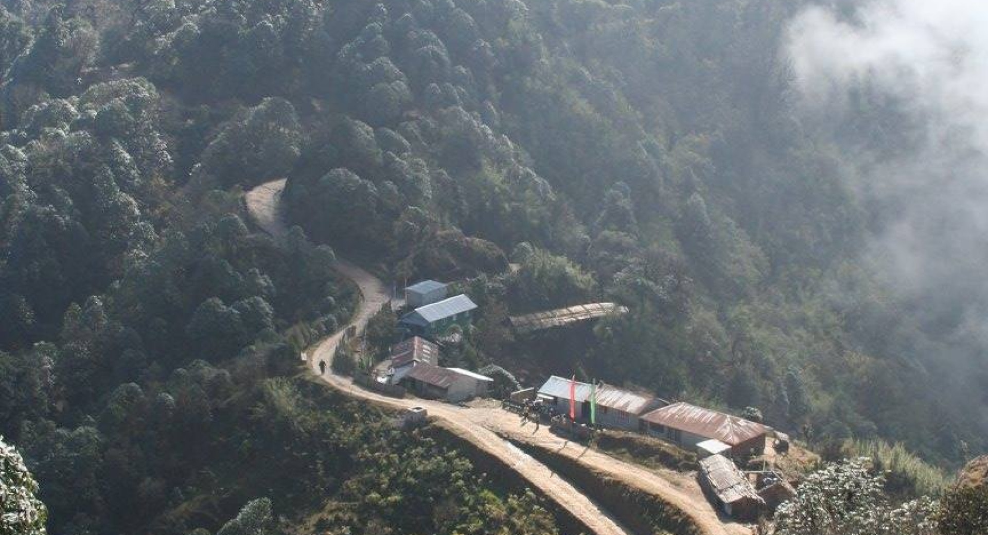 Conservation value of upper Mai valley forest in Panchthar-Ilam-Taplejung (PIT) corridor of Eastern Nepal for birds