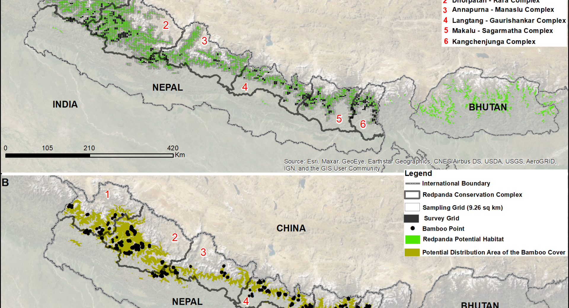 Landscape variables affectingtheHimalayan red pandaAilurus fulgensoccupancy in wet season along the mountains in Nepal