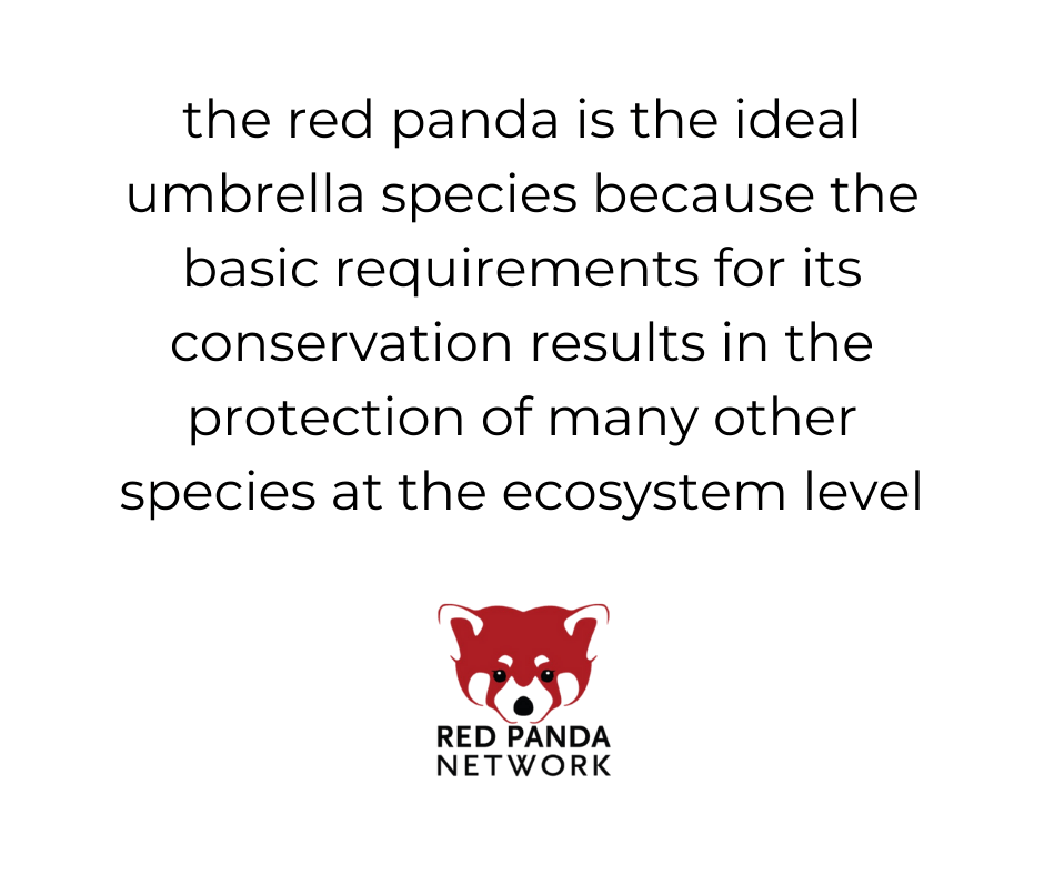Umbrella Species Text